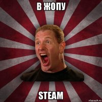 в жопу steam