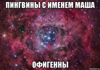 пингвины с именем маша офигенны