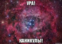 ура! каникулы!