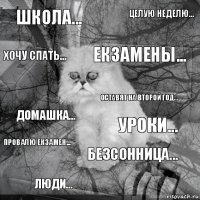 школа... уроки... екзамены... люди... домашка... целую неделю... безсонница... хочу спать... провалю екзамен... оставят на второй год...