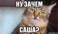 ну зачем саша?