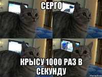 серго крысу 1000 раз в секунду