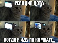 реакция кота когда я иду по комнате..