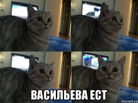  васильева ест