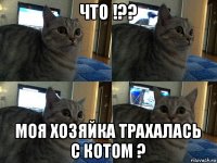 что !?? моя хозяйка трахалась с котом ?