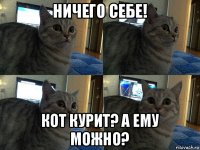 ничего себе! кот курит? а ему можно?