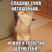 сладких снов наташенька... нежно и трепетно целую тебя..