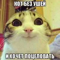 кот без ушей и хочет поцеловать