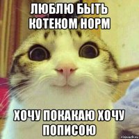 люблю быть котеком норм хочу покакаю хочу пописою