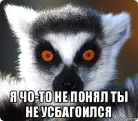  я чо-то не понял ты не усбагоился