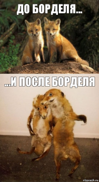 До Борделя... ...и после Борделя