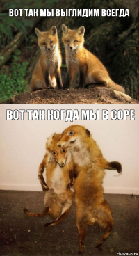 вот так мы выглидим всегда вот так когда мы в соре