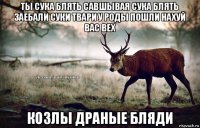 ты сука блять савшывая сука блять заебали суки твари у роды пошли нахуй вас вех козлы драные бляди