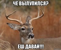 чё вылупился? еш давай!!!