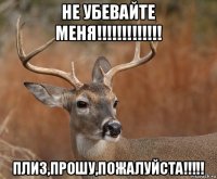 не убевайте меня!!!!!!!!!!!!! плиз,прошу,пожалуйста!!!!!