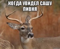 когда увидел сашу пивня 