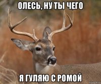 олесь, ну ты чего я гуляю с ромой