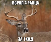 всрал 4 ранца за 1 ход