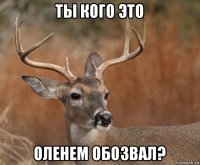 ты кого это оленем обозвал?