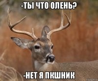 -ты что олень? -нет я пкшник