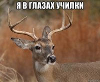 я в глазах училки 