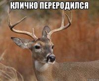 кличко переродился 