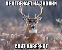 не отвечает на звонки спит наверное