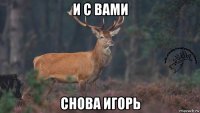 и с вами снова игорь