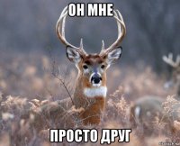 он мне просто друг