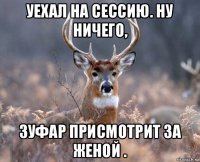 уехал на сессию. ну ничего, зуфар присмотрит за женой .