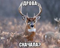 дрова скачала?