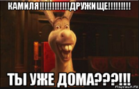 камиля!!!!!!!!!!!!дружище!!!!!!!!! ты уже дома???!!!