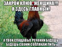 закрой клюв, женщина!!! я здесь главный! а твои слащавые речонки будешь будешь своим соплякам лить.