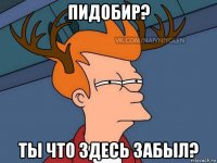 пидобир? ты что здесь забыл?