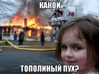 какой тополиный пух?