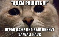 "идём рашить!!!" игрок даже дно был кикнут за wall hack