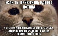 если ты приютишь одного котика то ты продлеваешь свою жизнь на 1 час, становишся на 5% добрее и с тебя снимается все грехи