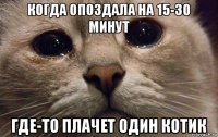 когда опоздала на 15-30 минут где-то плачет один котик