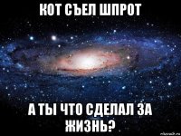 кот съел шпрот а ты что сделал за жизнь?