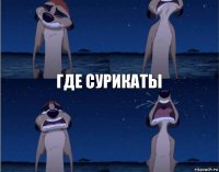 где сурикаты