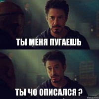 Ты меня пугаешь Ты чо описался ?