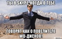 ты в skype, когда о тебе говорят как о повелителе wd-дисков!