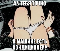 а у тебя точно в машине есть кондиционер?