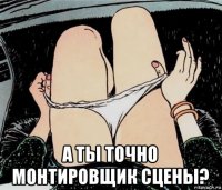  а ты точно монтировщик сцены?