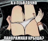 а у тебя точно панорамная крыша?