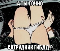 а ты точно сотрудник гибдд ?