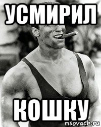 усмирил кошку