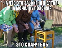 - а что это за фигня желтая, на мочалку похожа? - это спанч боб