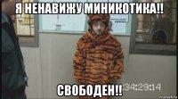 я ненавижу миникотика!! свободен!!