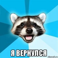  я вернулся